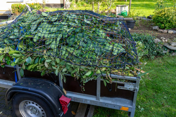 Best Commercial Junk Removal  in Fisher, IL